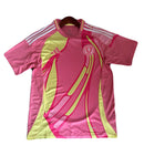 Schottland Auswärtstrikot 25/26 Herren Fantrikot