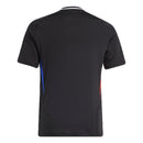 Lyon Auswärtstrikot 24/25 Herren Fantrikot