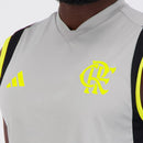 Flamengo Ärmelloses Trainingsshirt 24/25 Herren Fantrikot Grau