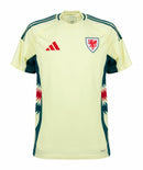 Wales Auswärtstrikot 24/25 Herren Fantrikot Gelb