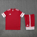 Adidas Herren Set Trikot und Shorts