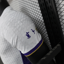 Wales Limitierte Auflage 25/26 Herren Spieler-Version Trikot