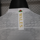 Wales Limitierte Auflage 25/26 Herren Spieler-Version Trikot