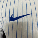 Frankreich Heimtrikot 24/25 Herren Spieler-Version Trikot