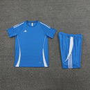 Adidas Set Herren Trikot und Shorts