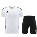 Adidas Set Herren Trikot und Shorts