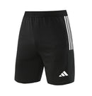 Adidas Set Herren Trikot und Shorts