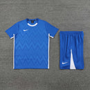 Nike Set Herren Trikot und Shorts