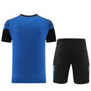 Puma Set Herren Trikot und Shorts