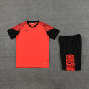 Puma Set Herren Trikot und Shorts