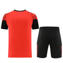 Puma Set Herren Trikot und Shorts