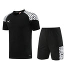 Puma Set Herren Trikot und Shorts