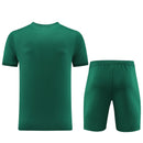 Puma Set Herren Trikot und Shorts