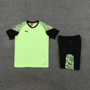 Puma Set Herren Trikot und Shorts