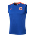Holland Trainingsset 24/25 Ärmelloses Shirt und Shorts