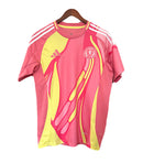 Schottland Auswärtstrikot 25/26 Herren Fantrikot