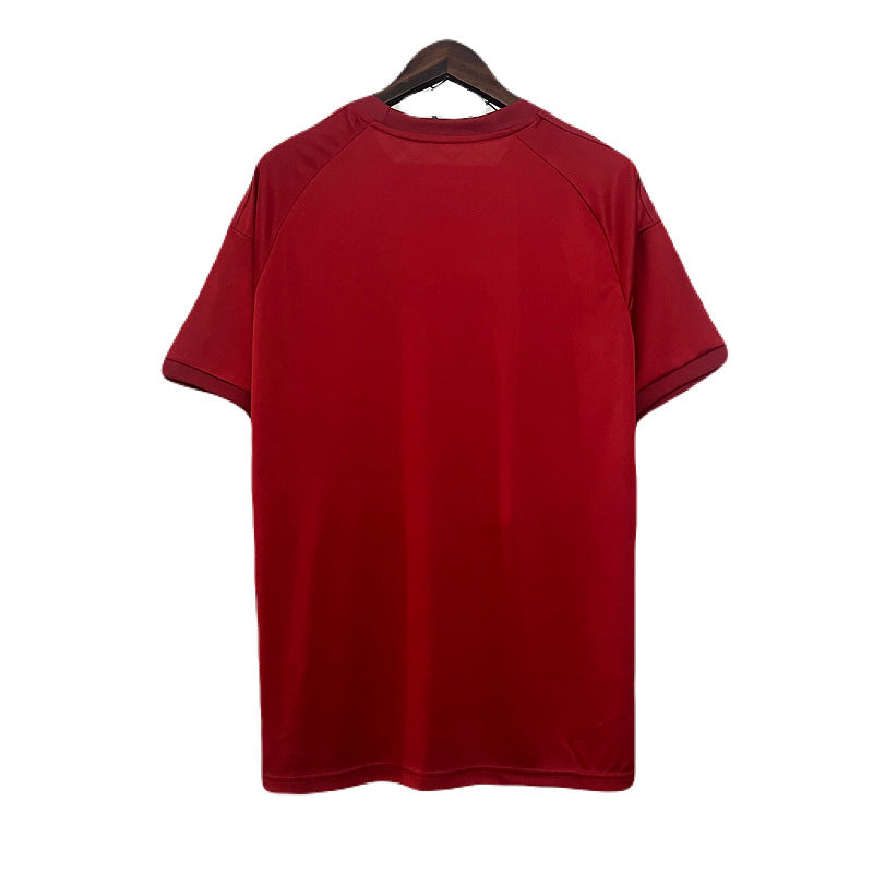 Bayern München Limitierte Edition 24/25 Herren Fantrikot