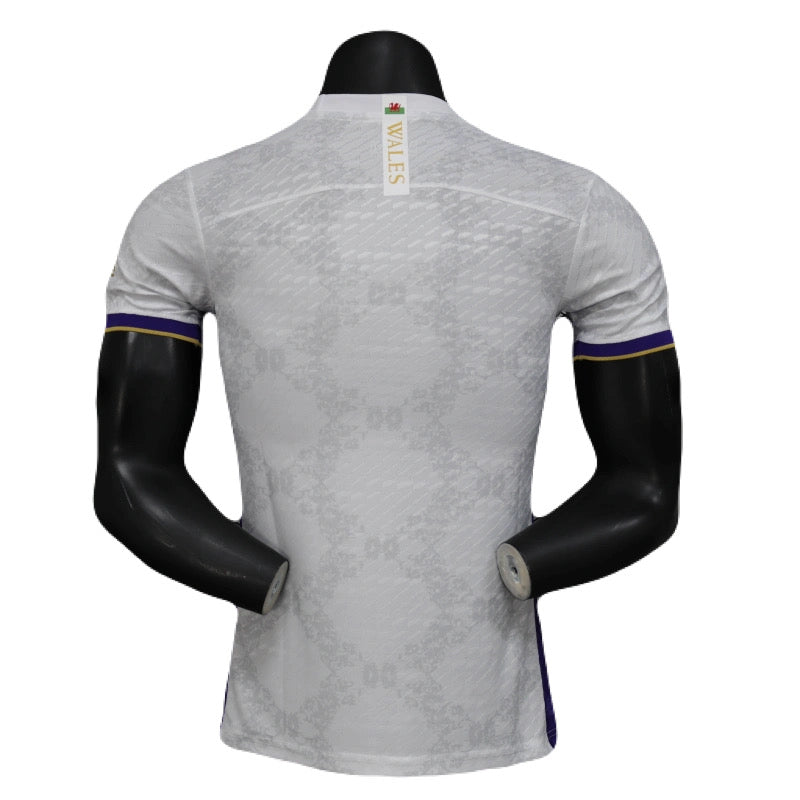 Wales Limitierte Auflage 25/26 Herren Spieler-Version Trikot