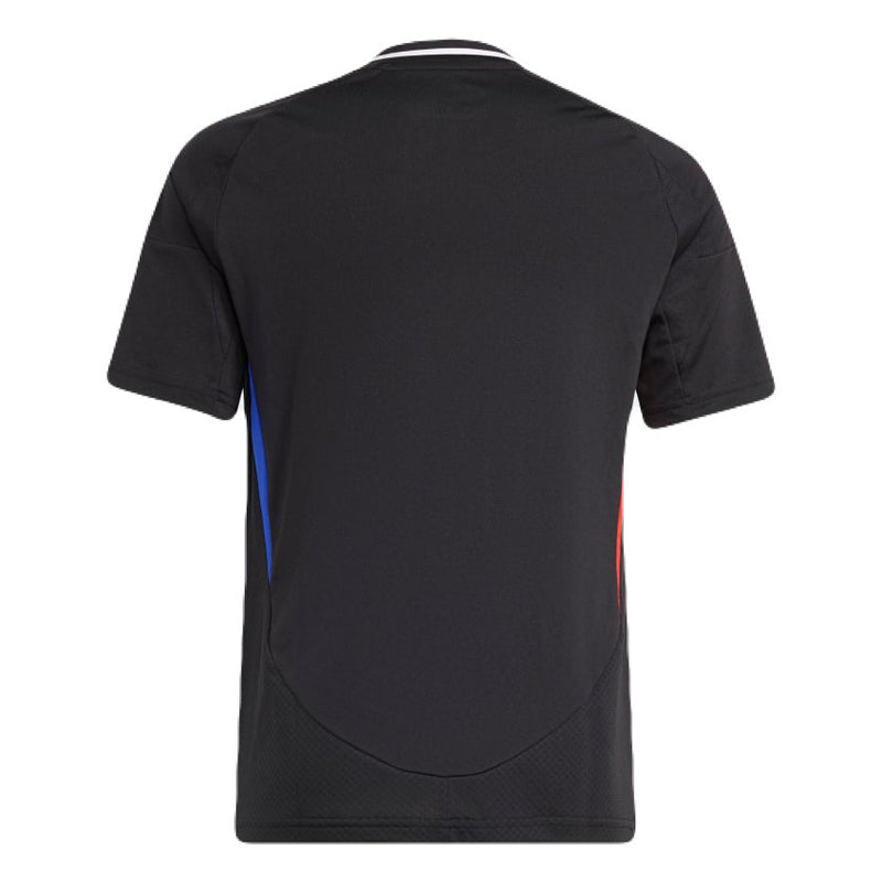 Lyon Auswärtstrikot 24/25 Herren Fantrikot