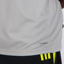 Flamengo Ärmelloses Trainingsshirt 24/25 Herren Fantrikot Grau