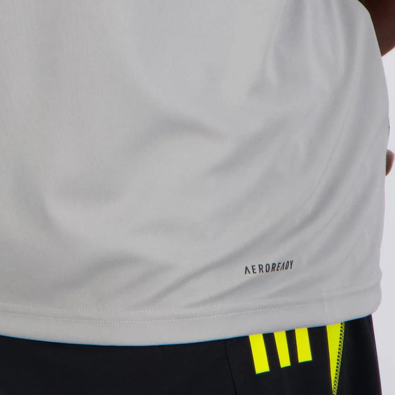 Flamengo Ärmelloses Trainingsshirt 24/25 Herren Fantrikot Grau