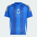 Argentinien Limitierte Auflage Messi 24/25 Herren Fantrikot