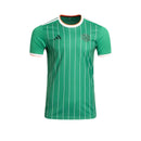 Celtic Limitierte Edition 24/25 Herren Fantrikot Grün