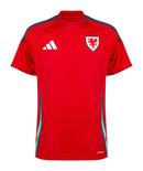 Wales Heimtrikot 24/25 Herren Fantrikot Rot