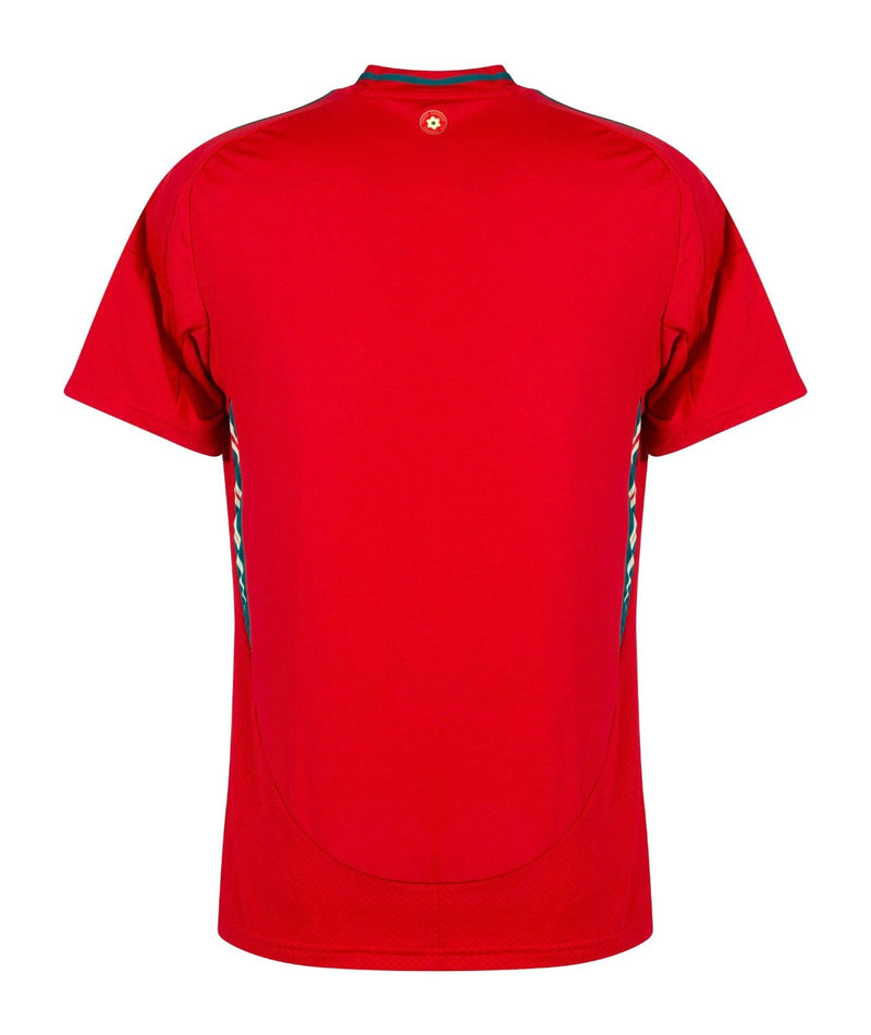 Wales Heimtrikot 24/25 Herren Fantrikot Rot