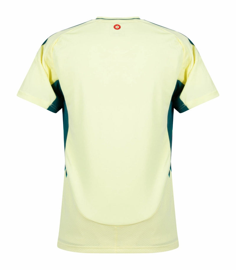 Wales Auswärtstrikot 24/25 Herren Fantrikot Gelb