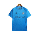 Grêmio Trainingsshirt 24/25 Herren Fantrikot Blau