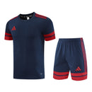 Adidas Herren Set Trikot und Shorts