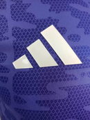 Deutschland Polo 25/26 Herren Spieler-Version