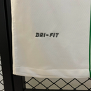 Portugal Auswärtstrikot 10/11 Herren Fan-Version (Retro)