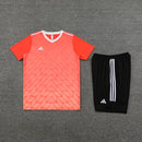 Adidas Set Herren Trikot und Shorts