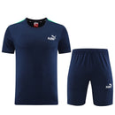 Puma Set Herren Trikot und Shorts