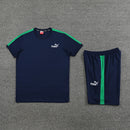 Puma Set Herren Trikot und Shorts