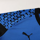 Puma Set Herren Trikot und Shorts