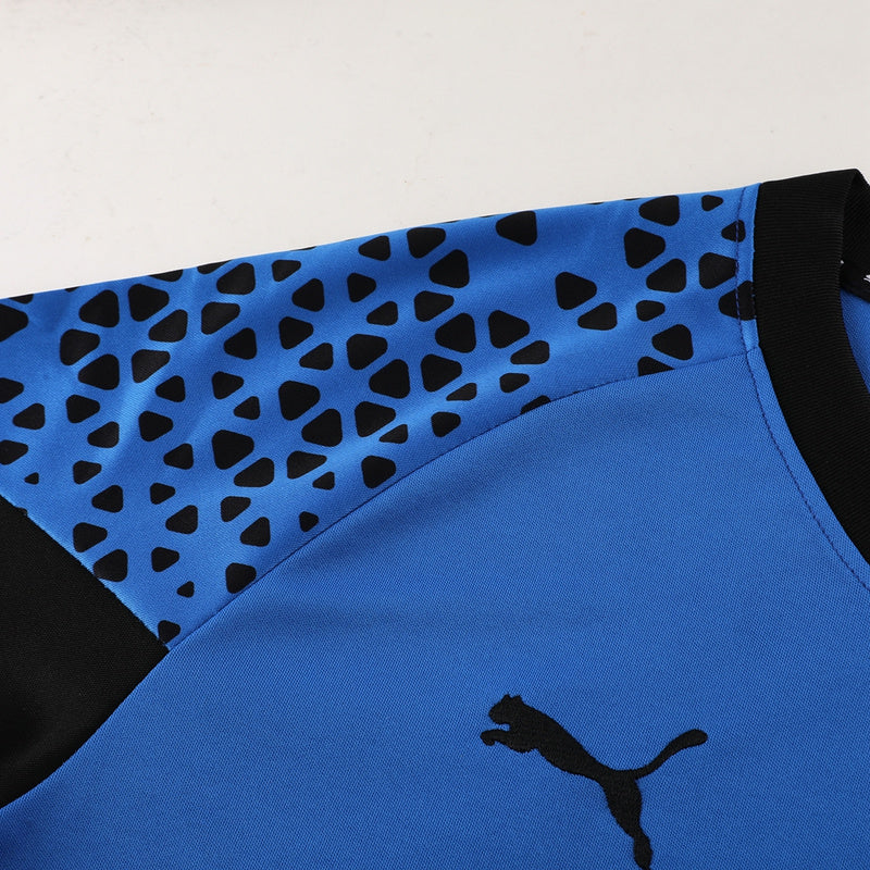 Puma Set Herren Trikot und Shorts