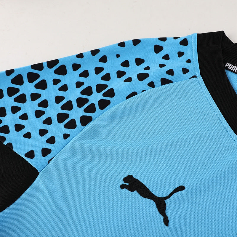 Puma Set Herren Trikot und Shorts