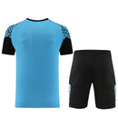 Puma Set Herren Trikot und Shorts