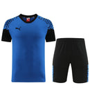 Puma Set Herren Trikot und Shorts