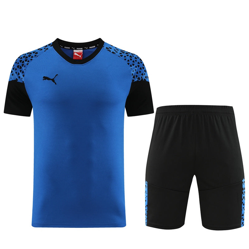 Puma Set Herren Trikot und Shorts