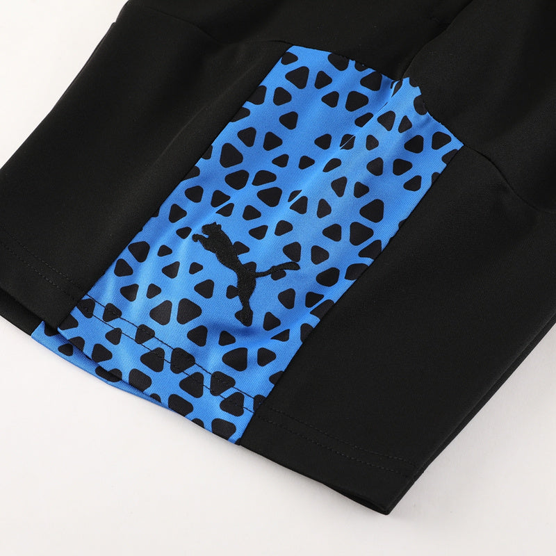 Puma Set Herren Trikot und Shorts