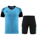 Puma Set Herren Trikot und Shorts
