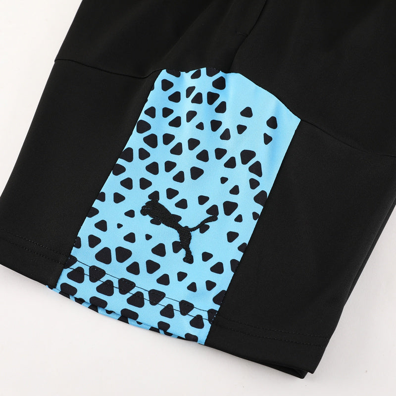 Puma Set Herren Trikot und Shorts