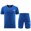 Puma Set Herren Trikot und Shorts