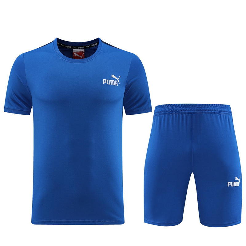 Puma Set Herren Trikot und Shorts