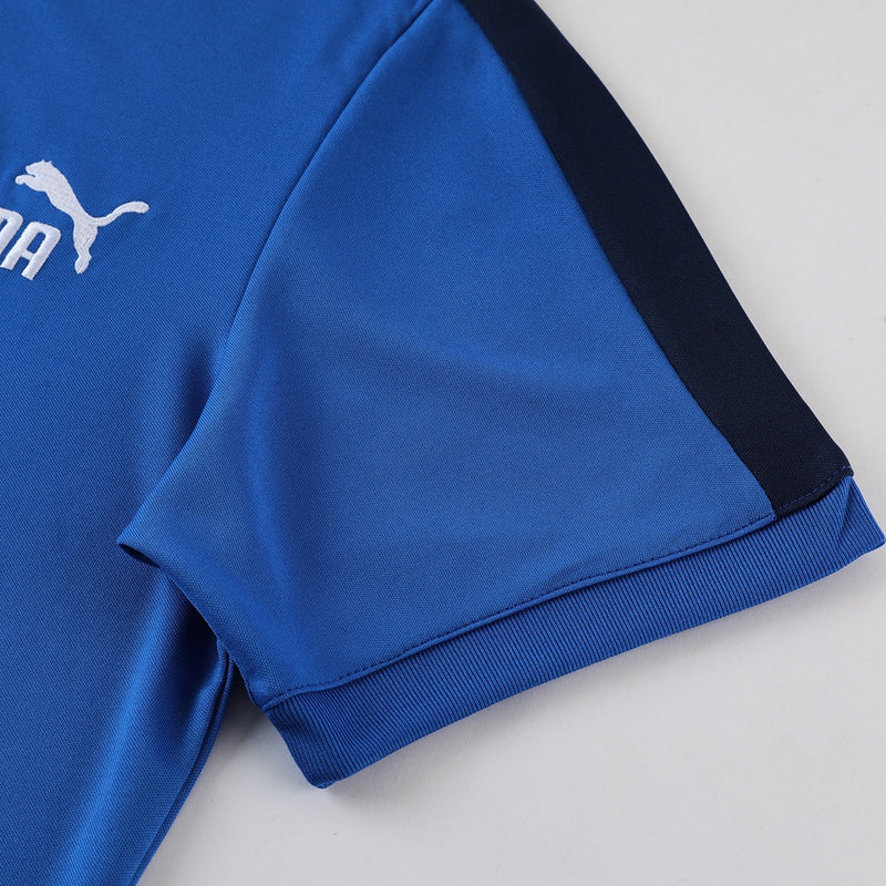 Puma Set Herren Trikot und Shorts