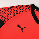 Puma Set Herren Trikot und Shorts